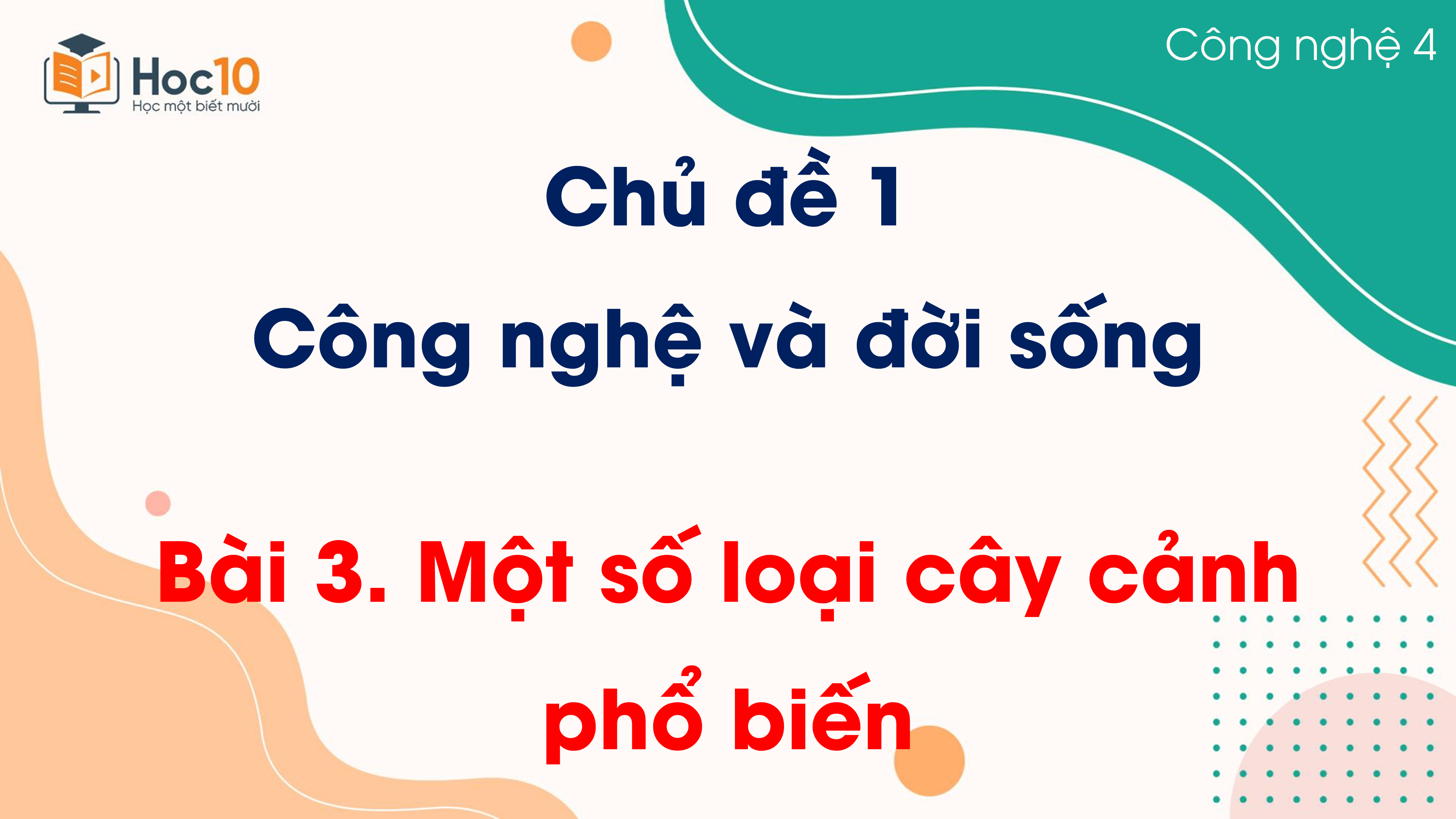 Chủ đề 1 - Bài 3 Một số loại cây cảnh phổ biến